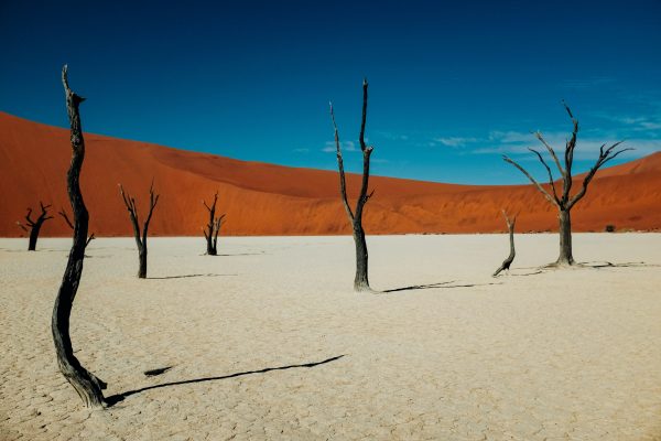 cheap flights to namibia