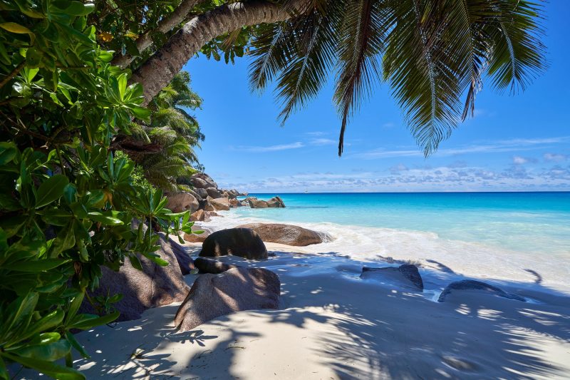 cheap flights to seychelles